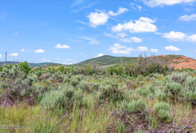 10-Blue Sage, Lot 11, Heber City_010