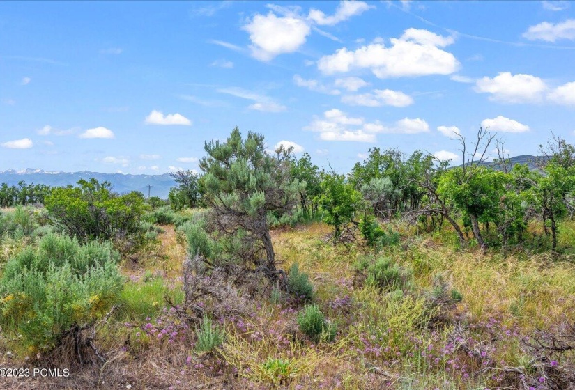 11-Blue Sage, Lot 11, Heber City_011