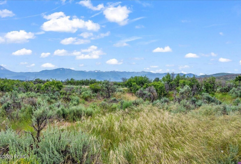 13-Blue Sage, Lot 11, Heber City_013