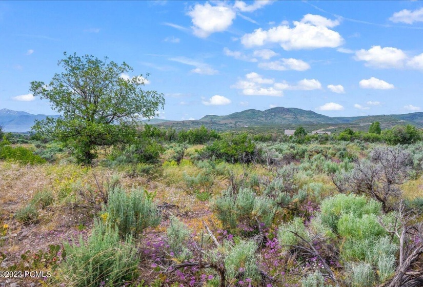 14-Blue Sage, Lot 11, Heber City_014