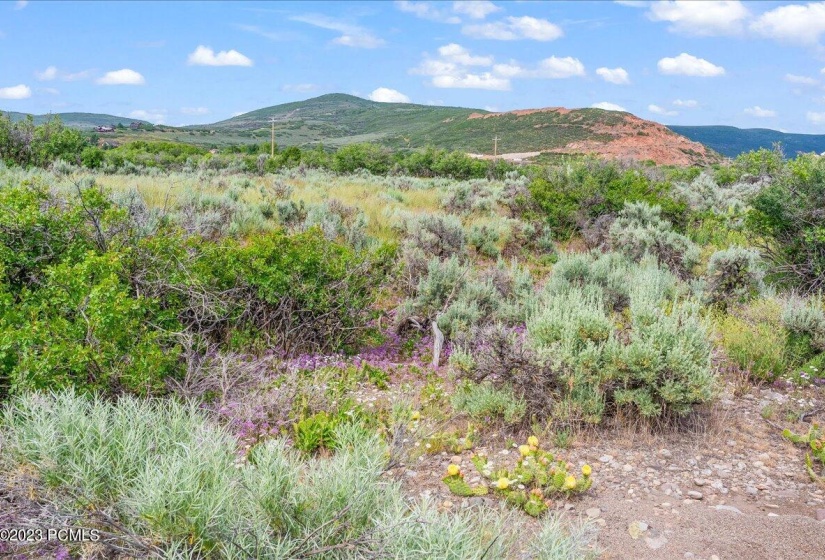 15-Blue Sage, Lot 11, Heber City_015