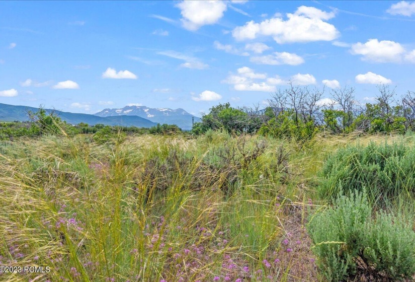 01-Blue Sage, Lot 11, Heber City_001