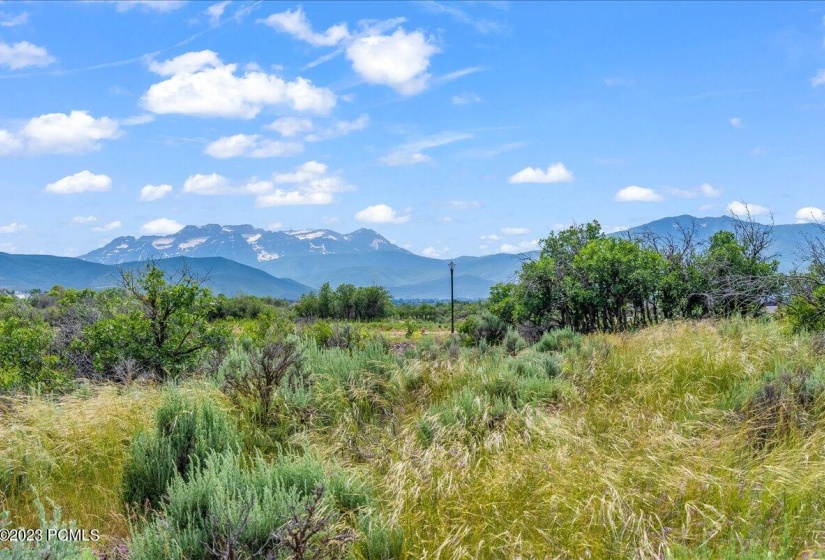 02-Blue Sage, Lot 11, Heber City_002