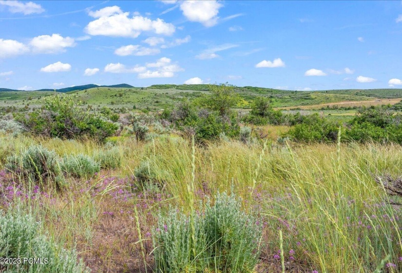 03-Blue Sage, Lot 11, Heber City_003