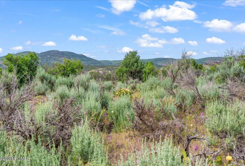 04-Blue Sage, Lot 11, Heber City_004