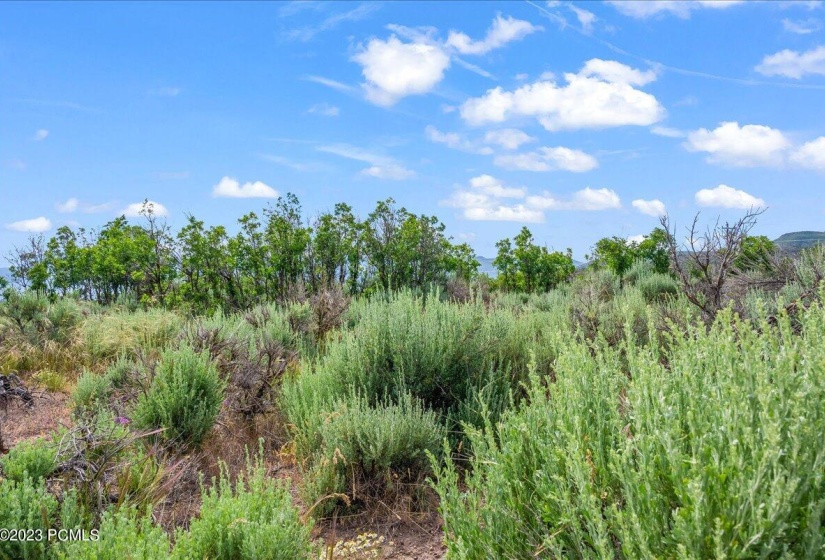 05-Blue Sage, Lot 11, Heber City_005