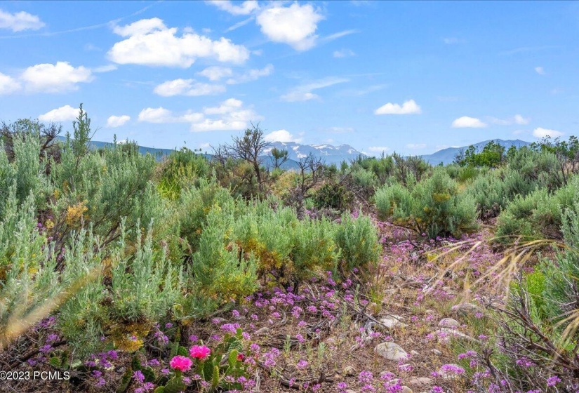 07-Blue Sage, Lot 11, Heber City_007