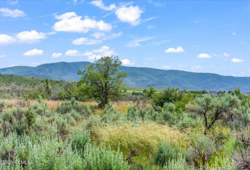08-Blue Sage, Lot 11, Heber City_008