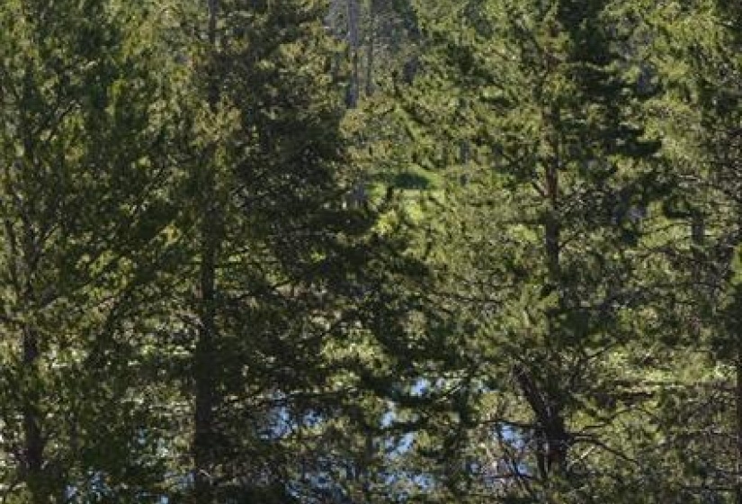 Lot 21 pic 2 Trees water and Mountain