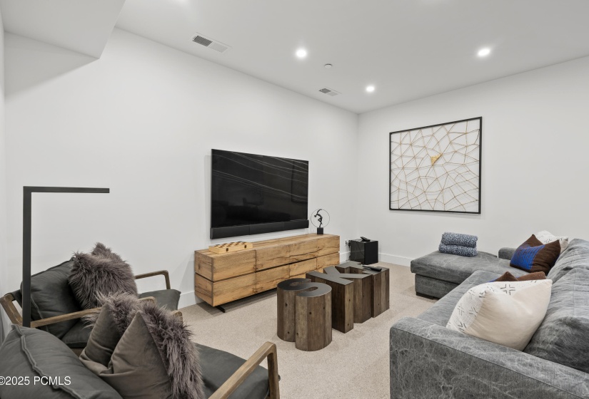 Lower Level Living 2