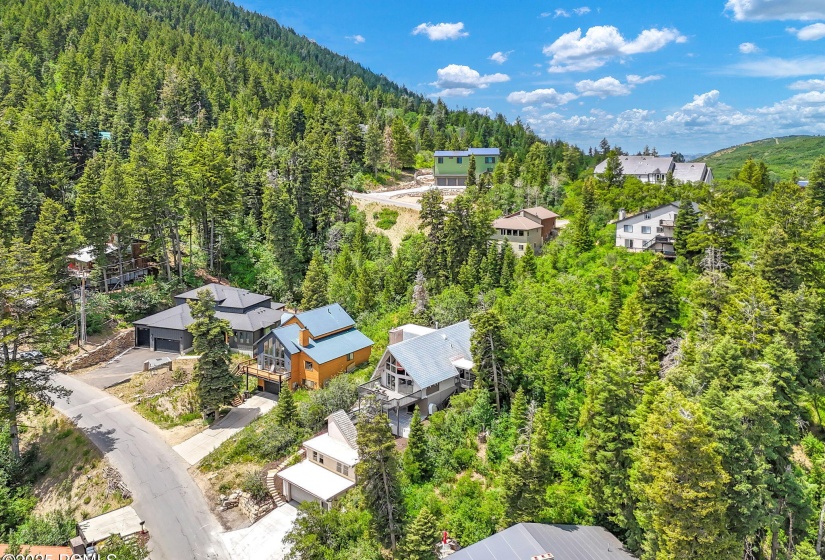 575 Upper Evergreen Dr-46