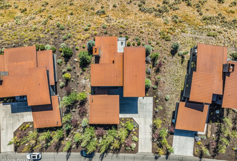 32-web-or-mls-6714-golden-bear-loop-w