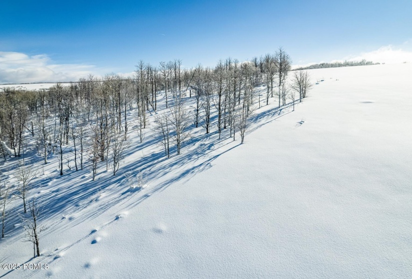 10_Aerial_1800x1200_4006866