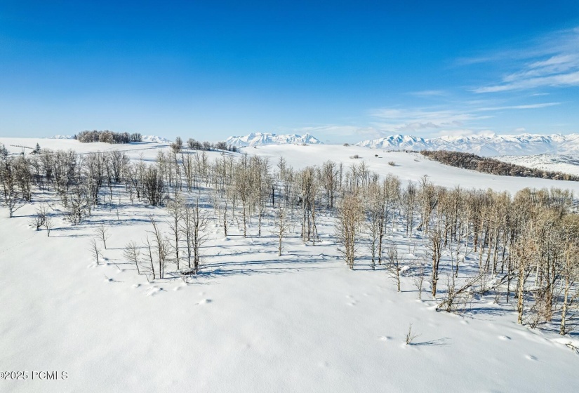 29_Aerial_1800x1200_4006867