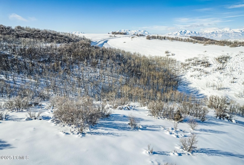 27_Aerial_1800x1200_4006865