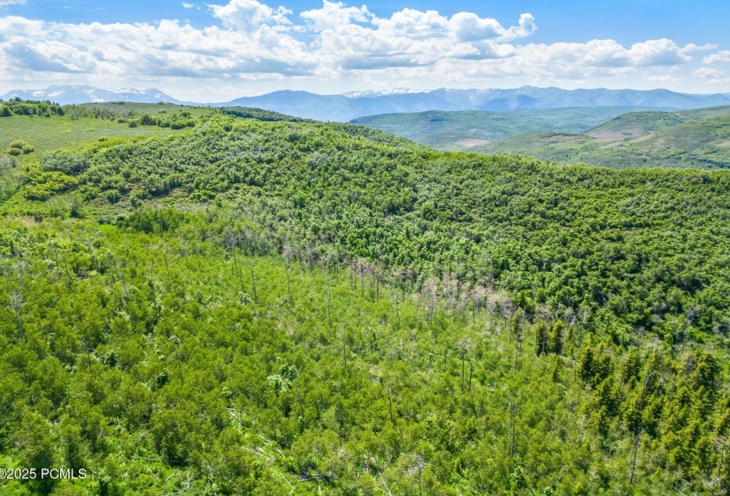 16_Lot_1800x1200_4055491