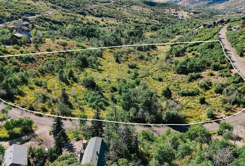 DroneLot4Line