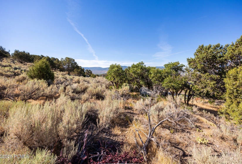 008_680pintoknoll-11_20