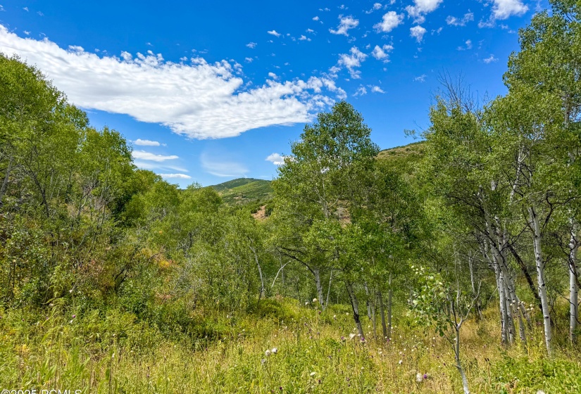 Moose Cabin-19