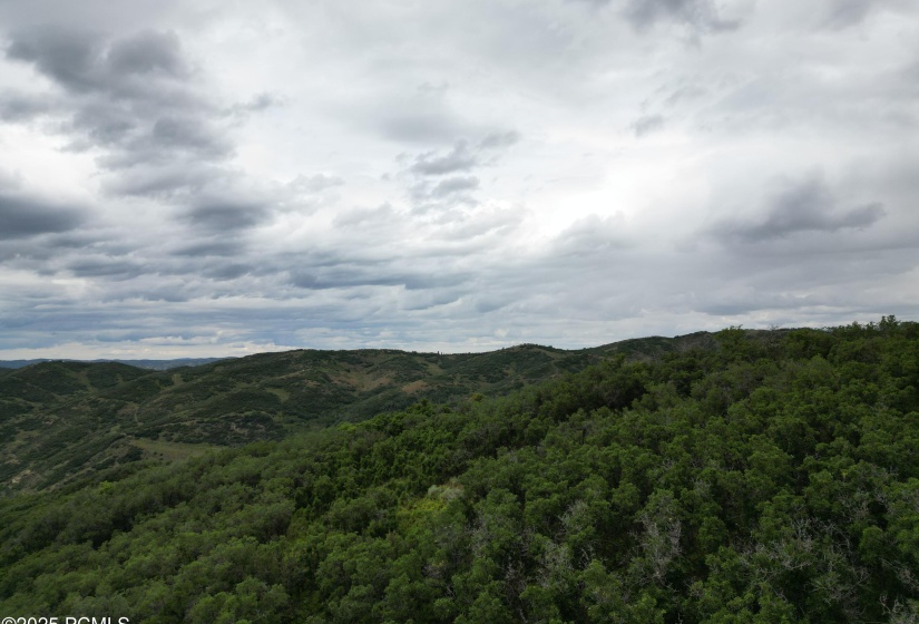 DJI_0218
