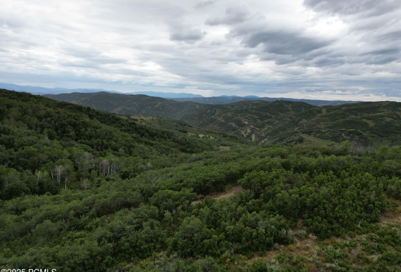 DJI_0224