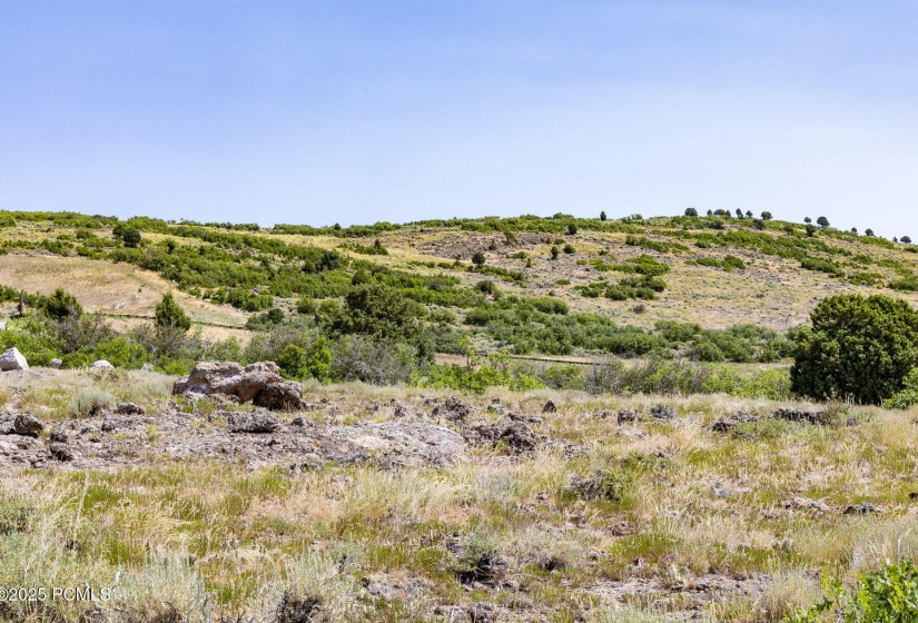 011_3414_e_wishbone_place011_381