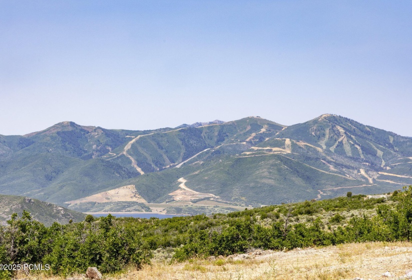 012_3414_e_wishbone_place012_198