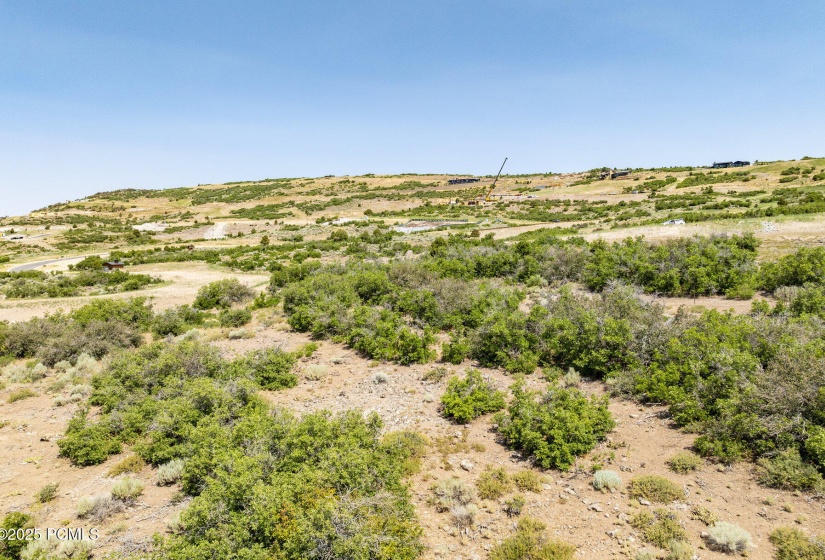 029_3414_e_wishbone_place029_50