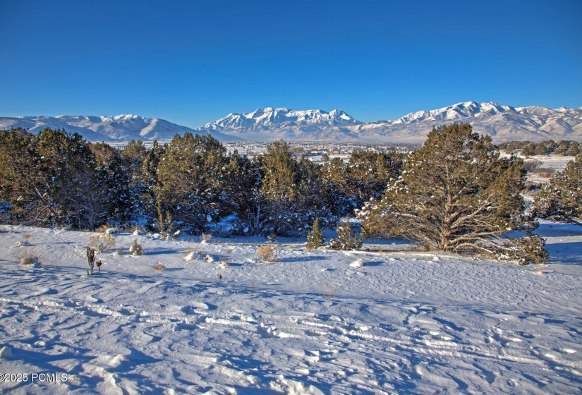 057_redledges12w_715