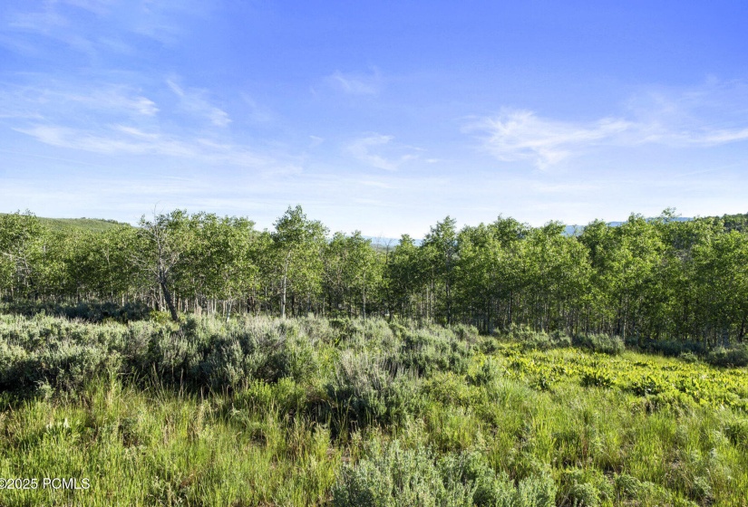088_17017_ant_flat_road_huntsville_ut_84
