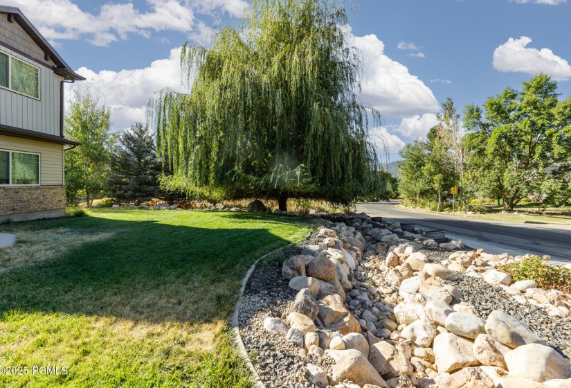 3844 N Patio Springs Dr_N Lifer_06_Web