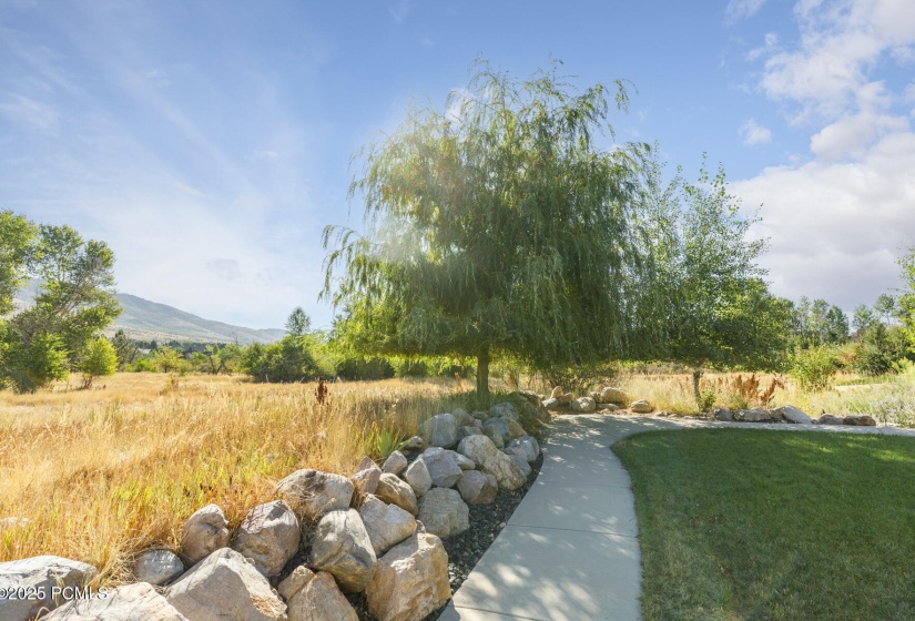 3844 N Patio Springs Dr_N Lifer_20_Web