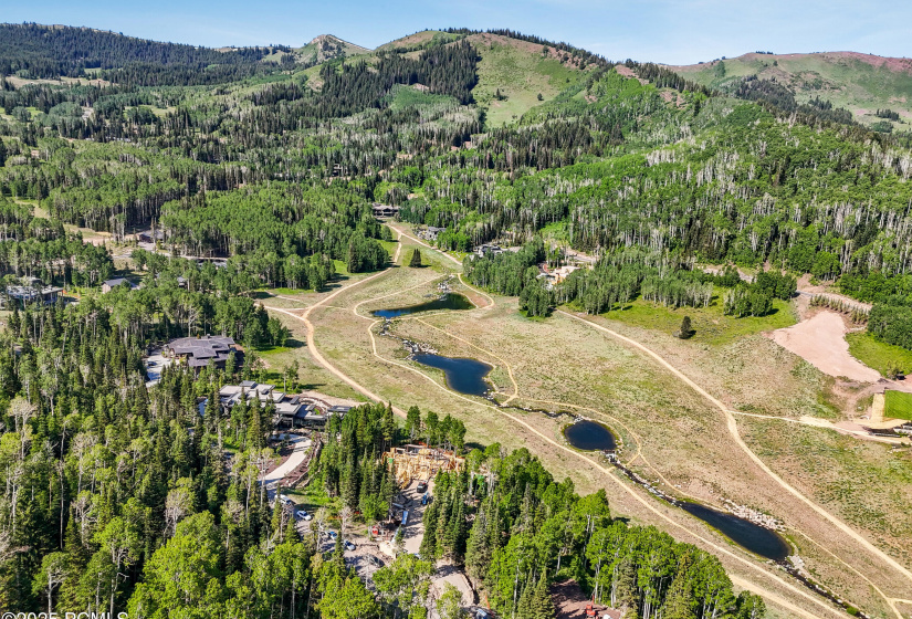 DJI_20250627100721_0133_D