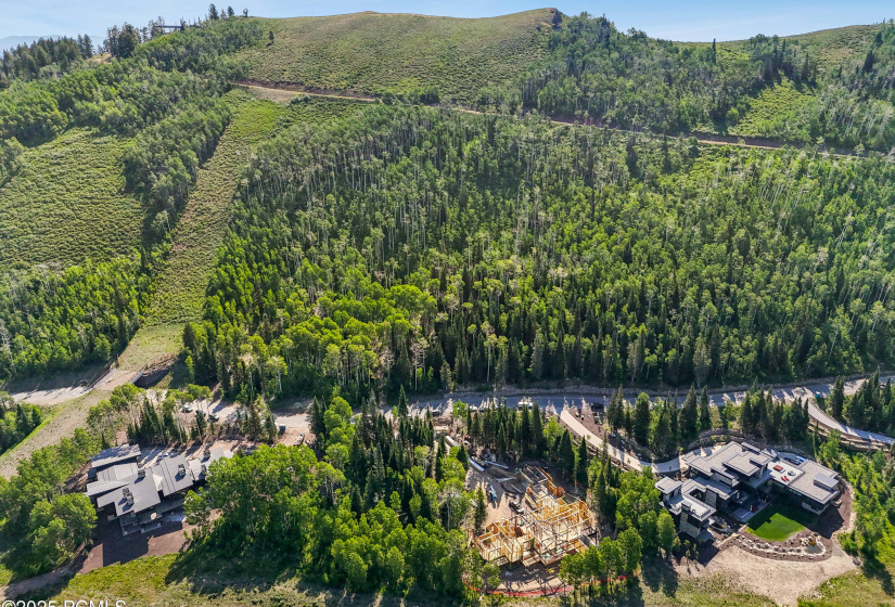 DJI_20250627101037_0141_D