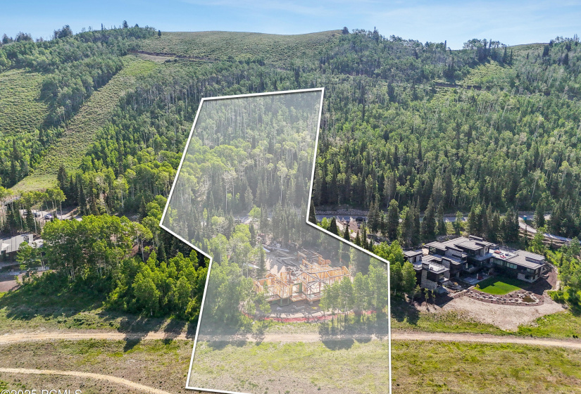 DJI_20250627100441_0126_DLot