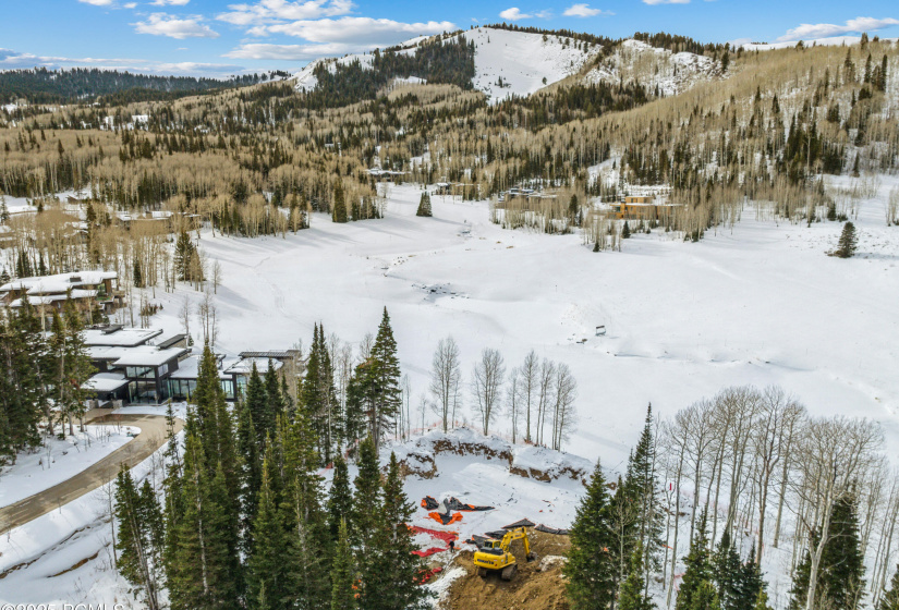 263 White Pine Cy Drone055