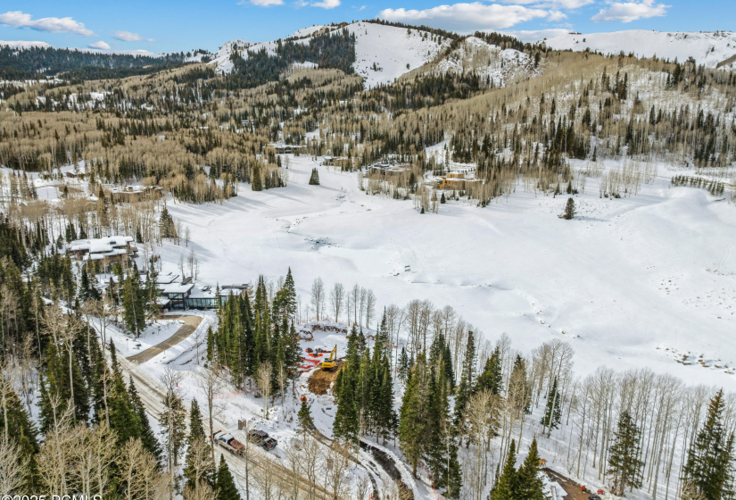 263 White Pine Cy Drone044