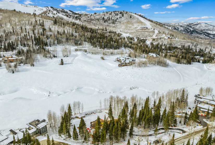 263 White Pine Cy Drone042