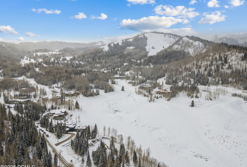 263 White Pine Cy Drone013