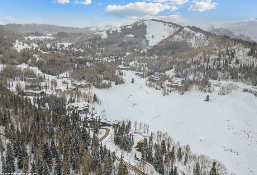 263 White Pine Cy Drone018