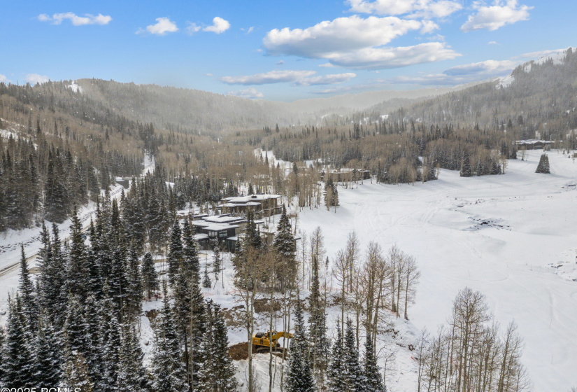 263 White Pine Cy Drone010