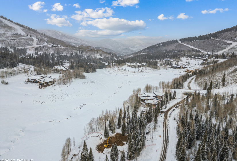 263 White Pine Cy Drone015