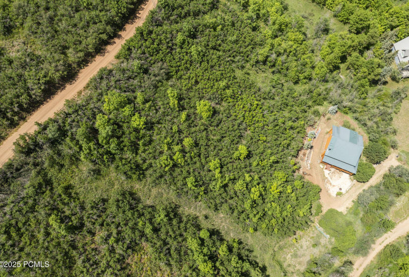 014_014_102_alphorn_way-14_546_771