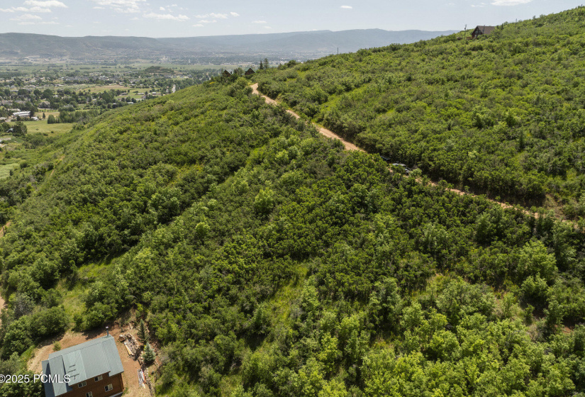 001_003_102_alphorn_way-3_114_664