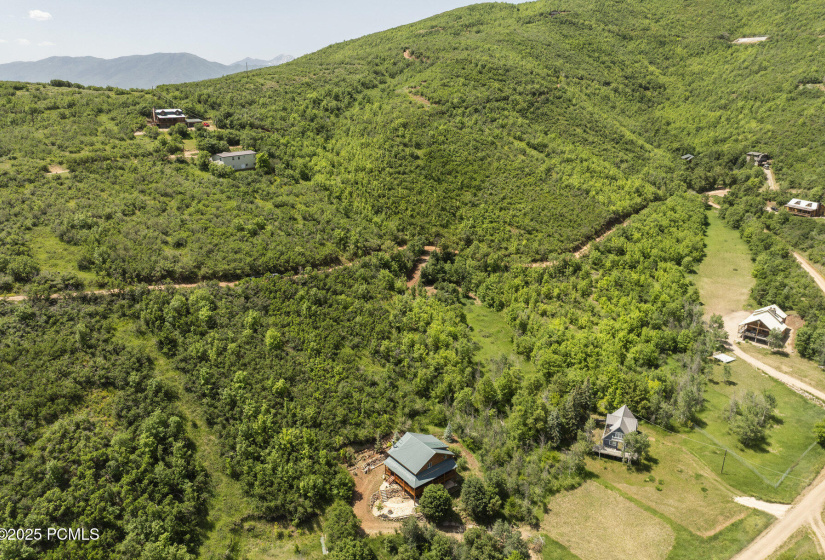 007_007_102_alphorn_way-7_291_89