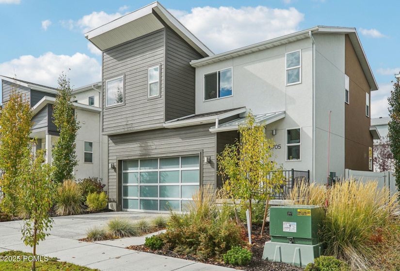 6705 Serviceberry