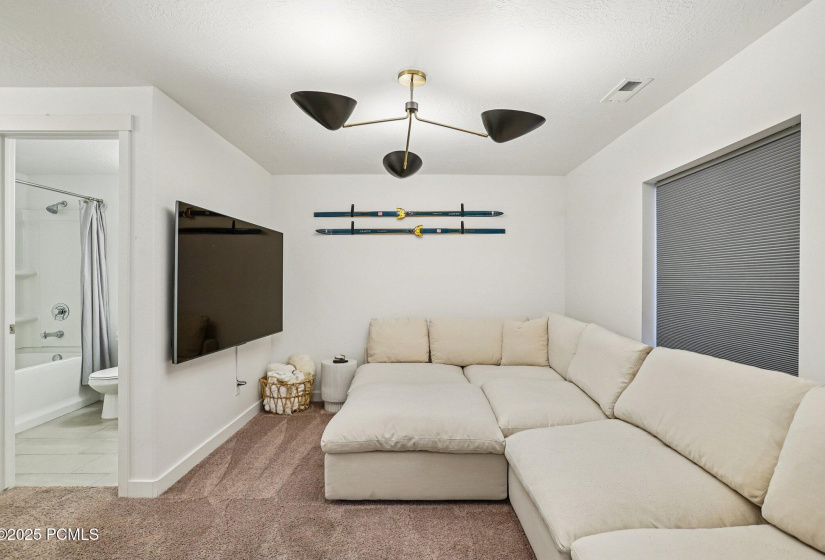 Lower Level Great Room