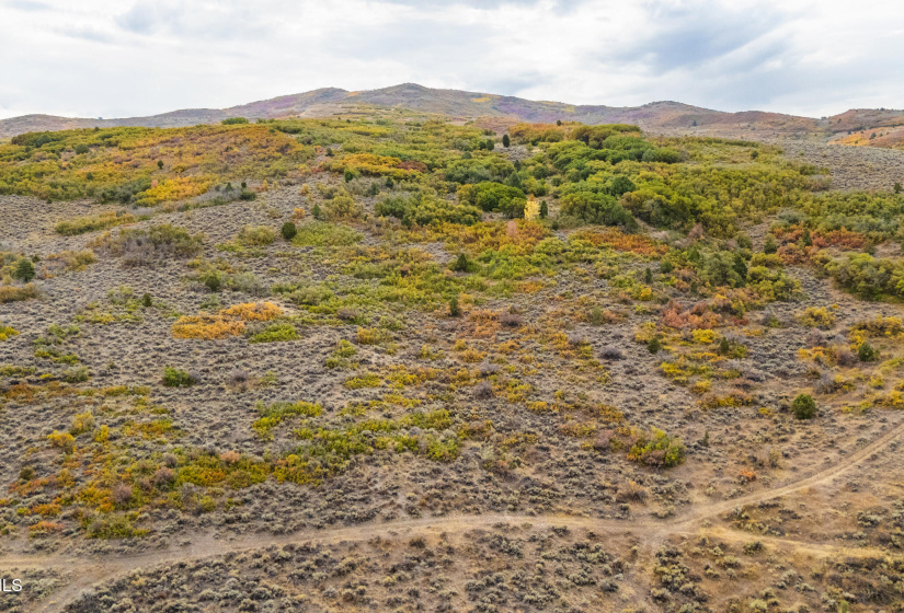 15_dji_20250926093700_0682_d 15_dji_20250926093700_0682_d