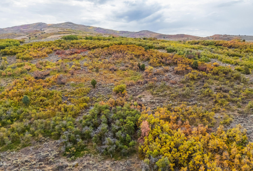 16_dji_20250926093758_0687_d 16_dji_20250926093758_0687_d