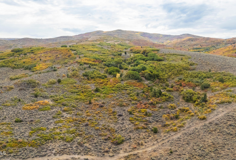 21_dji_20250926095248_0735_d 21_dji_20250926095248_0735_d